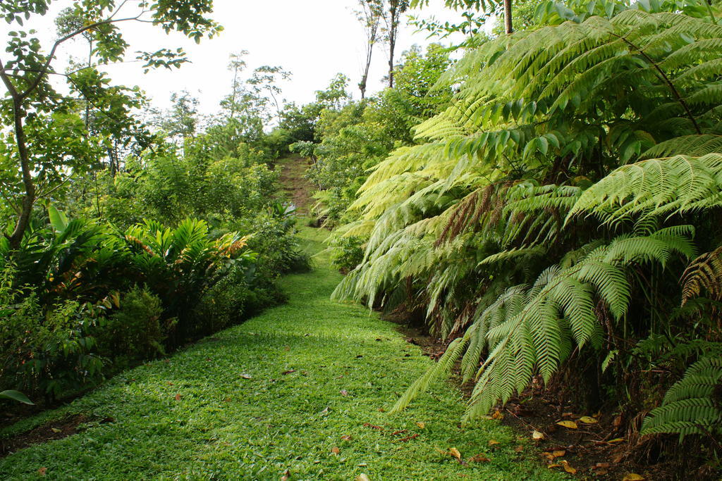 Arenal Waterfall Lodge ภายนอก รูปภาพ